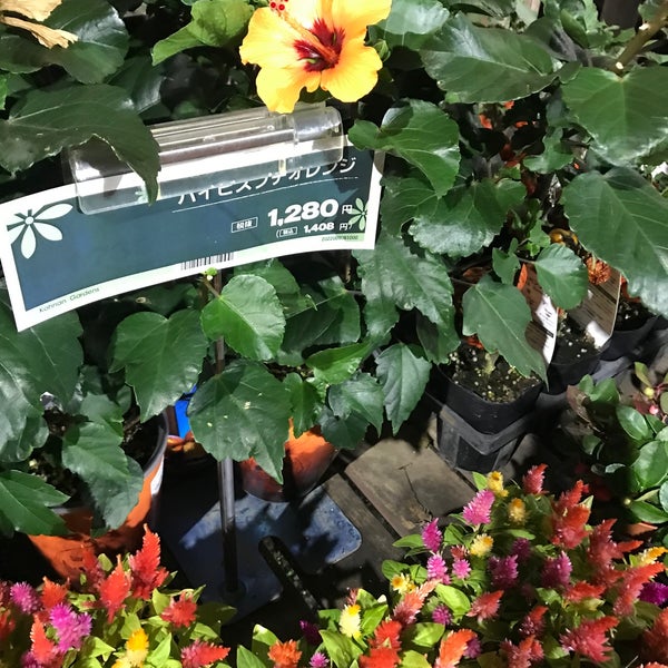Photos At コーナン ドイト東久留米店 東久留米 東久留米市 東京都