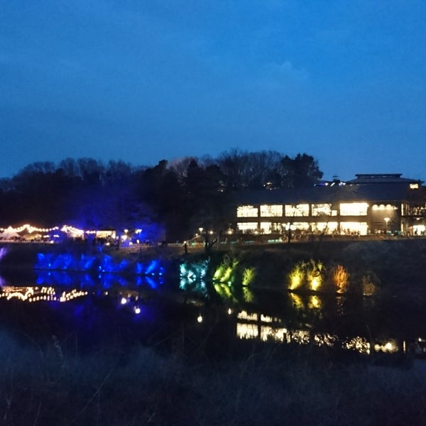 レイクサイドパーク宮沢湖 埼玉県飯能市 メリーゴーランド メリーゴーラウンド 研究家ルートヴィヒ ヴァン 1998 メリーゴーランドの旅 Sober Curious ソバーキュリアス