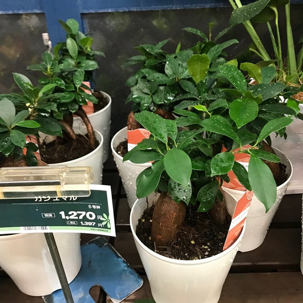 Photos At コーナン ドイト東久留米店 東久留米 東久留米市 東京都