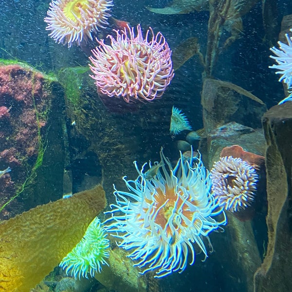 Photo taken at Aquarium Berlin by Andzelina A. on 7/21/2020