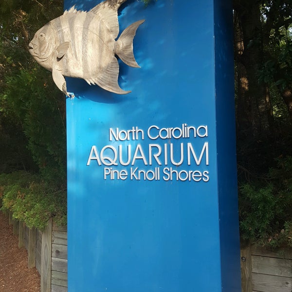 Photo taken at North Carolina Aquarium at Pine Knoll Shores by Jeff A. on 9/14/2016
