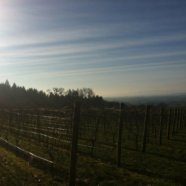 Снимок сделан в Vista Hills Vineyard &amp; Winery пользователем Miranda K. 1/1/2013