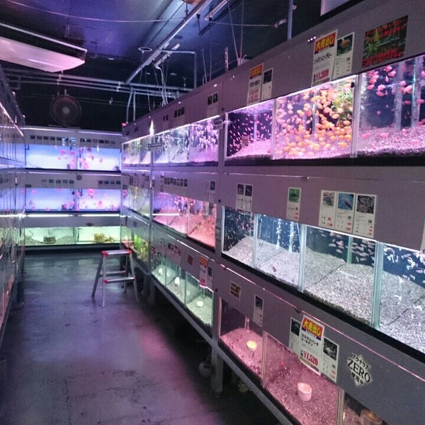 Fotos Em トロピランド 荒川店 荒川区 東京都