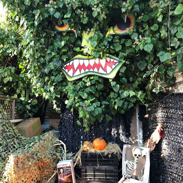 10/31/2019にNk M.がPiedmont Avenue Pumpkin Patch &amp; Haunted Houseで撮った写真