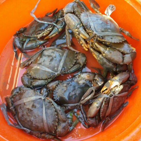 Photos at Tugdan Tablas Airport (TBH) Alcantara, Romblon