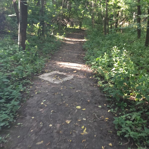 Photos at Wauwatosa Dog Park Dog Run in Wauwatosa