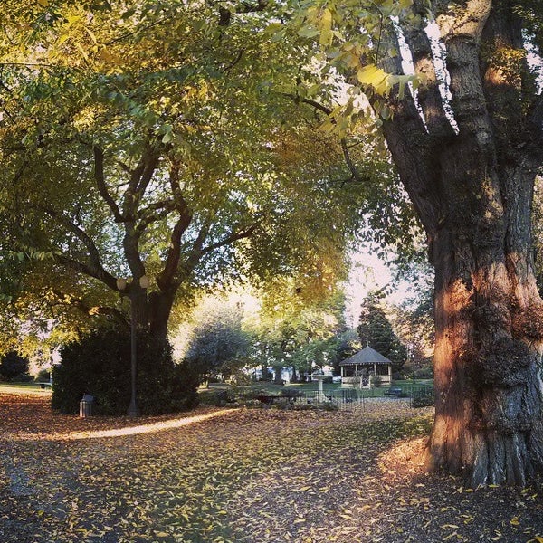 Photos at Elizabeth Park 5 tips