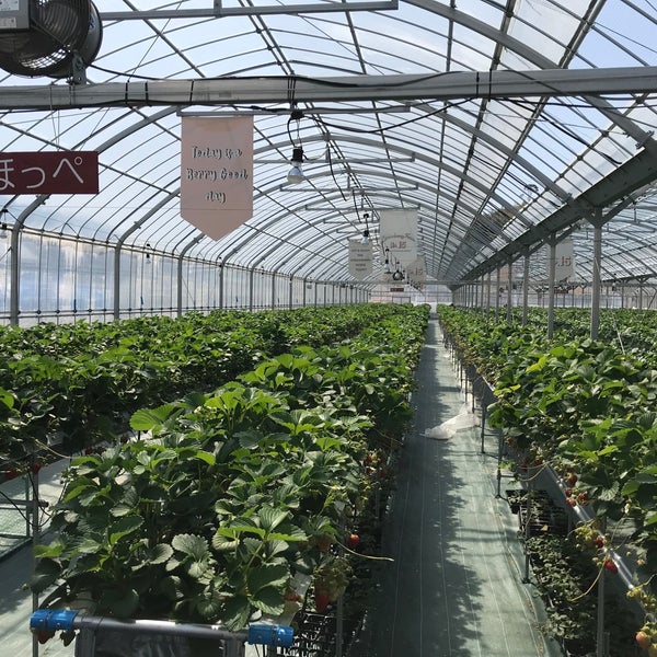 ユニバーサル園芸社 Garden Center In Ibaraki