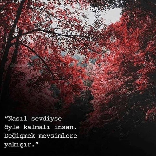 saran giyim 2 tavsiye