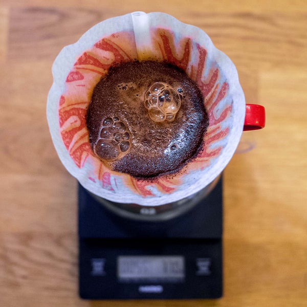 รูปภาพถ่ายที่ Kamarad Coffee Roastery โดย Kamarad Coffee Roastery เมื่อ 10/21/2019