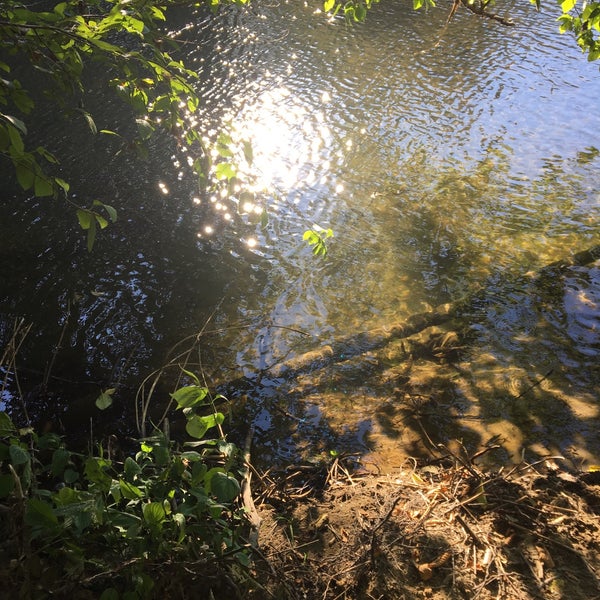 Brannan Park Park in North Auburn