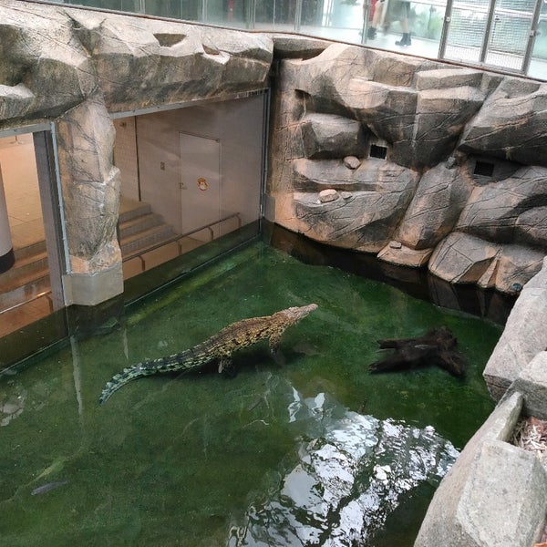 東山動物園 自然動物館 Vystavka V 名古屋市