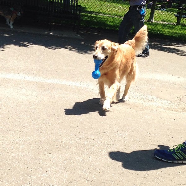 River Dog Park Dog Run in Chicago