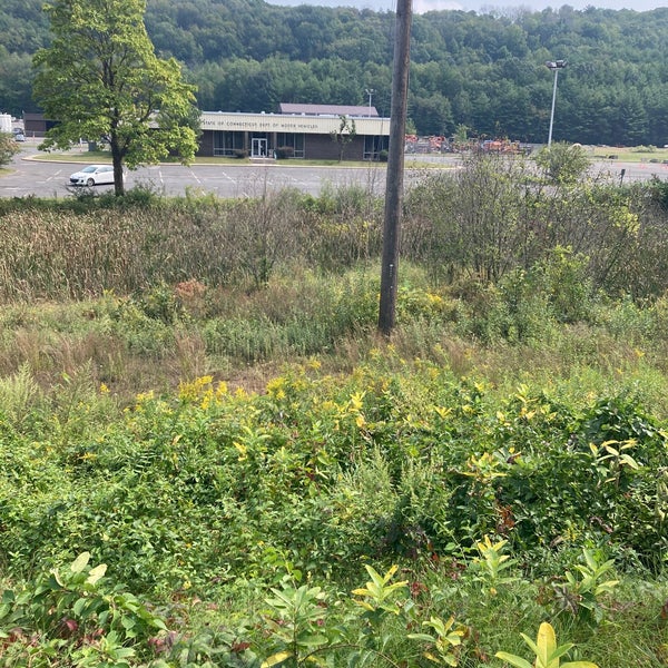 CT DMV Winsted 9 tips