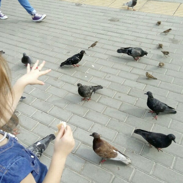 Электричка волоколамск. Москва рижский вокзал волоколамск. Москва рижская волоколамск. Волоколамская станция электрички. Электричка волоколамск.