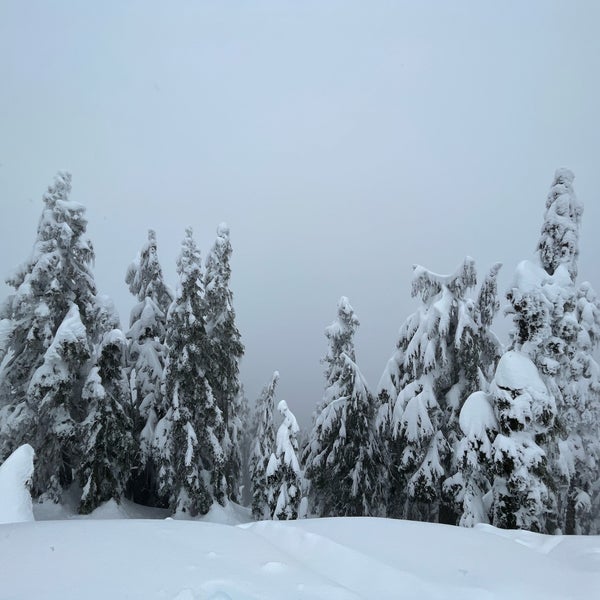 Photo taken at Grouse Mountain by Heather R. on 2/19/2023