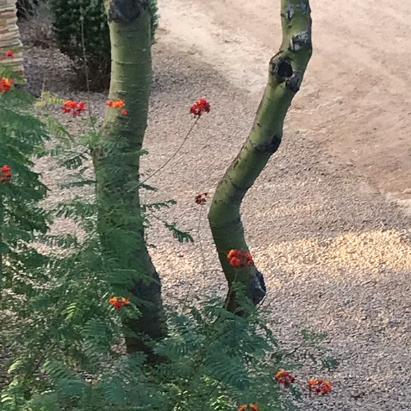 Photo taken at Marriott&#39;s Canyon Villas by Donna S. on 9/30/2019