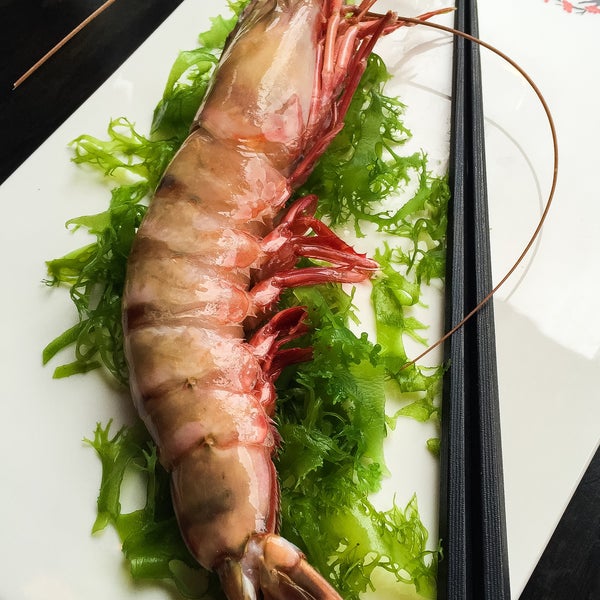 Who wants a piece of this beautiful Giant (will be featured for tomorrow's Lunch Set C and dinner special) #junshokudo #downtownbrooklyn #giant #shrimp #feature #lunch #dinner #seafood #feast