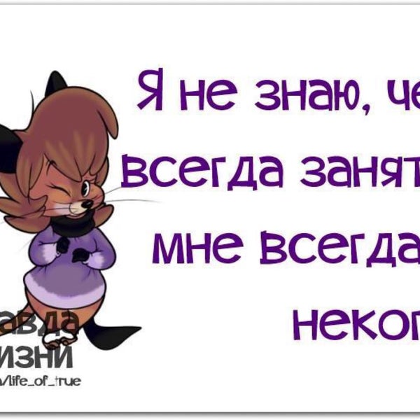 открытка уже вторник. смешные высказывания про вторник. вторник всегда. стих про дни недели для детей. доброго вторника.