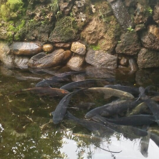 Photos at Ribnik Omorani - 1 tip