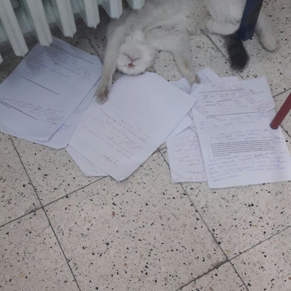 kyk gulistan yurdu a blok isparta isparta