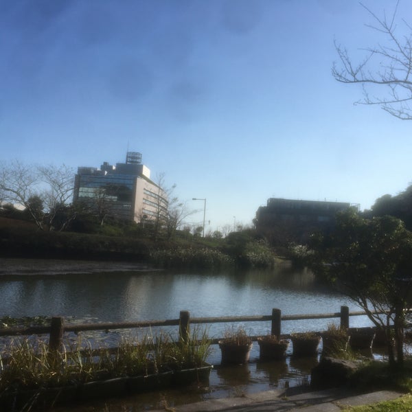Fotos Em 光の丘水辺公園 横須賀 1 Dica De 62 Clientes Fotos Em 光の丘水辺公園 横須賀 1 Dica De 62 Clientes