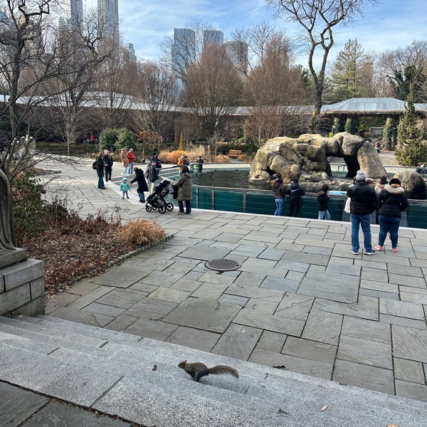 Photo taken at Central Park Zoo by Nima on 12/29/2022