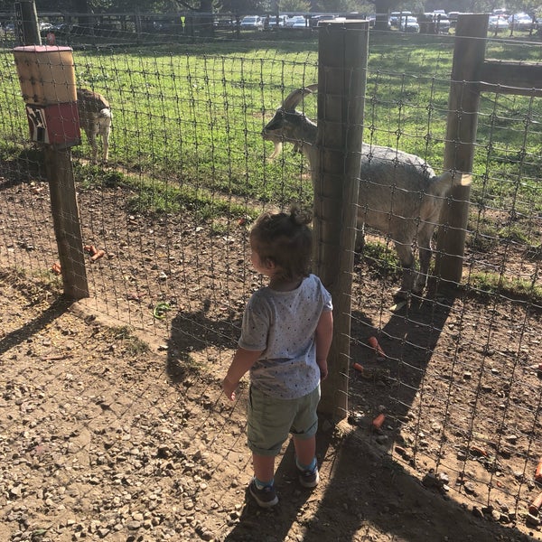 Photo taken at Linvilla Orchards by Marla R. on 9/22/2019
