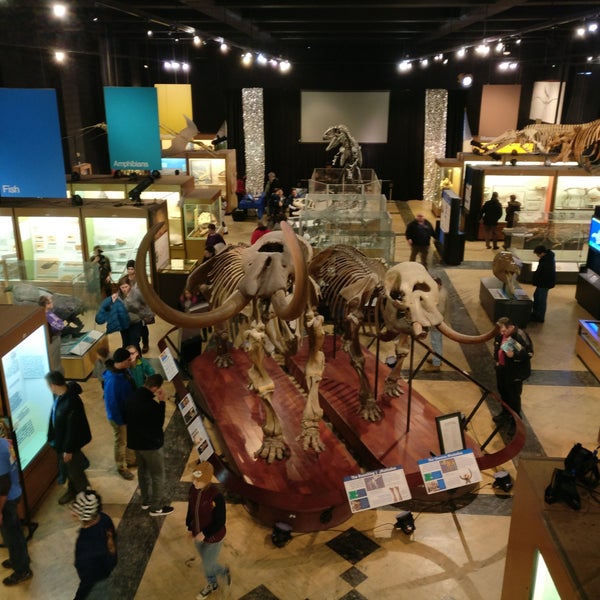 12/30/2017 tarihinde Dino W.ziyaretçi tarafından University of Michigan Museum of Natural History'de çekilen fotoğraf