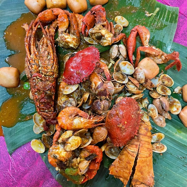 shell out penang Madeleine Ball