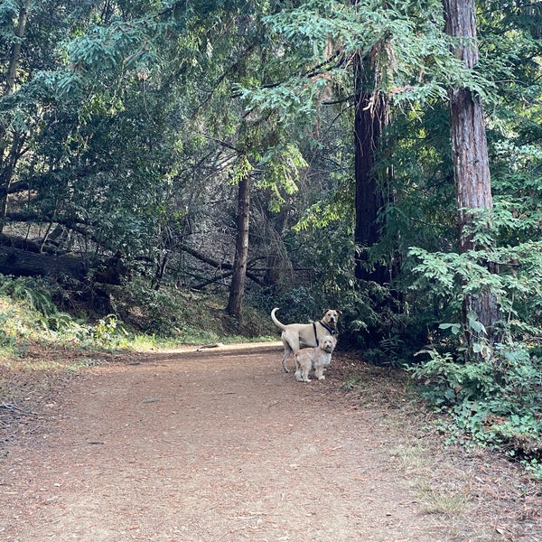 sequoia bayview trail