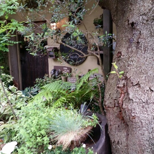 草花屋 苔丸 鎌倉市 神奈川県 草花屋 苔丸 鎌倉市 神奈川県