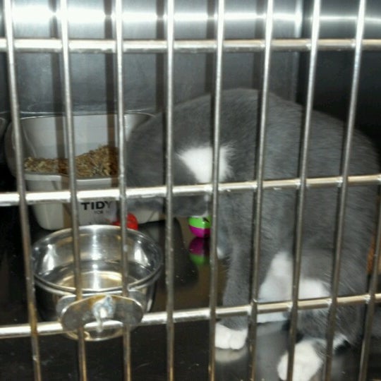 Photos at PetSmart East Louisville Louisville, KY