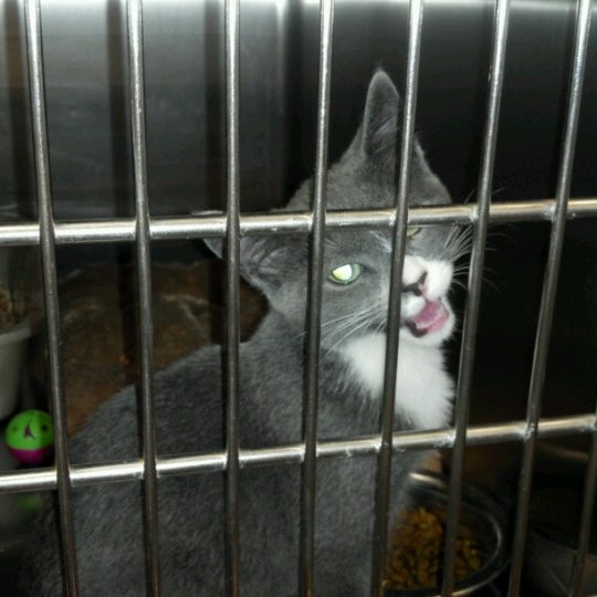 Photos at PetSmart East Louisville Louisville, KY