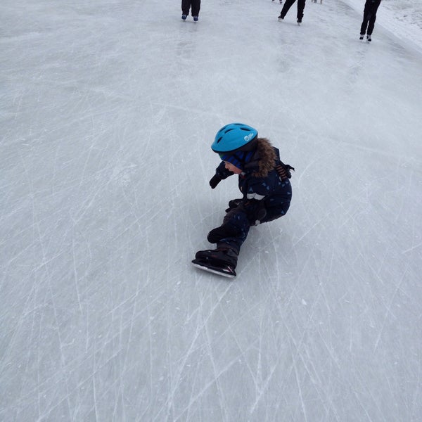 Удельный парк каток