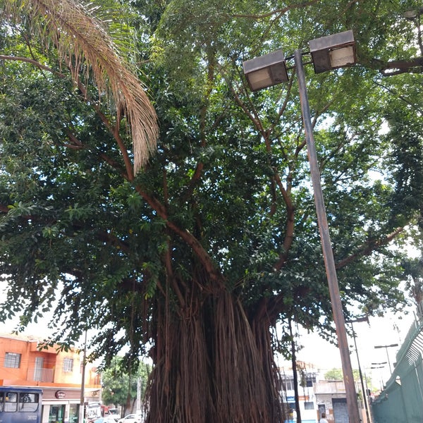Fotos em Capela de São Miguel Arcanjo São Miguel Praça Padre Aleixo Monteiro Mafra Fotos em Capela de São Miguel Arcanjo São Miguel Praça Padre Aleixo Monteiro Mafra