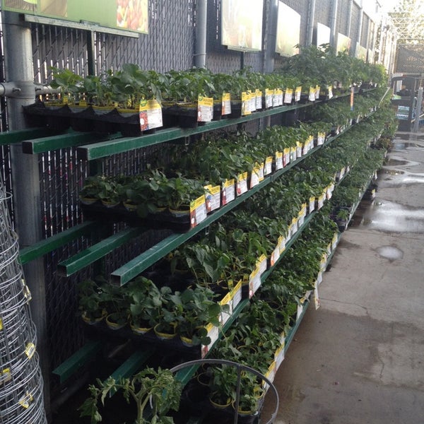 Photos at Walmart Supercenter Big Box Store in Garden City