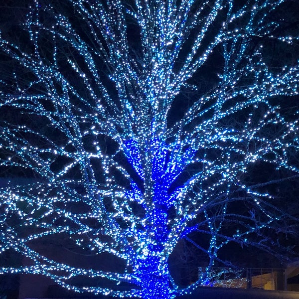 รูปภาพถ่ายที่ Indianapolis Museum of Art (IMA) โดย Stacey P. เมื่อ 12/11/2020