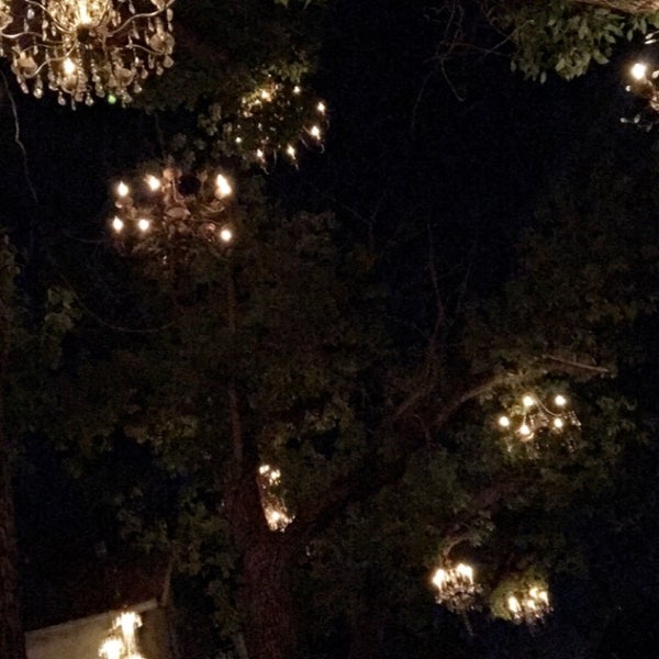 Chandelier Tree Tree in Silver Lake