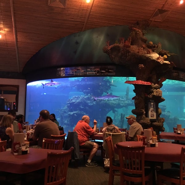 Photos at Dillon's KC BBQ at Wildlife World Zoo Wildlife World Zoo