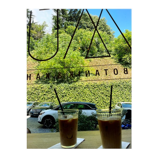 Müz Botanik & Kahve Firuzağa İstanbul, İstanbul