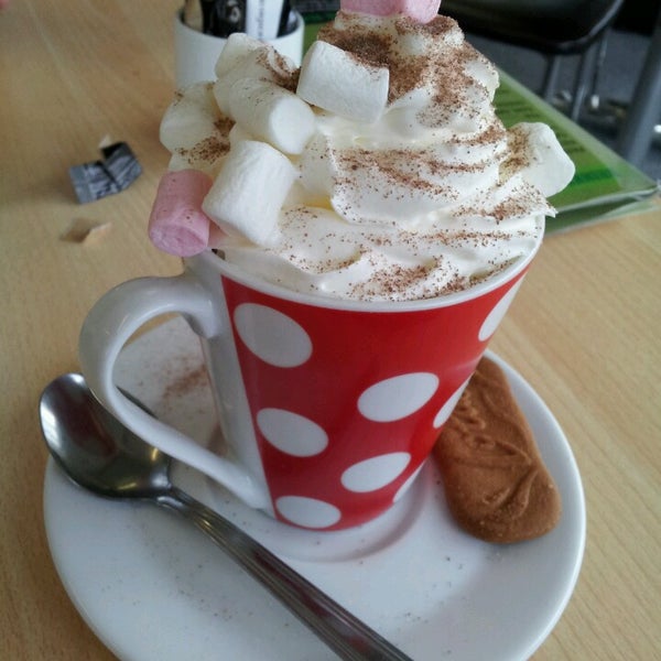 The Leisure Lounge Cafe at Winners 2000 Kingsteignton, Devon