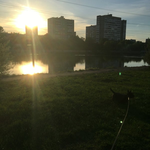 Новогиреевский пруд