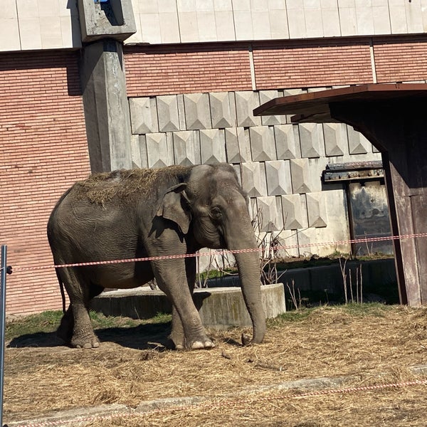 Photo taken at Sofia Zoo by Silviya S. on 3/3/2021