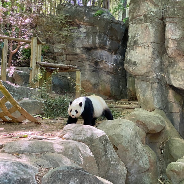 Foto tomada en Zoo Atlanta  por Arvind R. el 4/17/2023