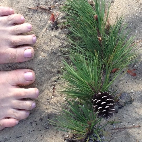 The Cove Mays Landing, NJ