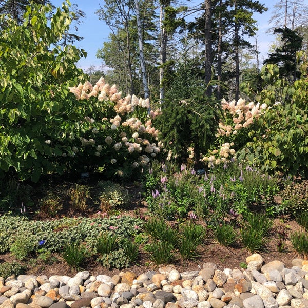 Das Foto wurde bei Coastal Maine Botanical Gardens von Angela K. am 9/4/2022 aufgenommen