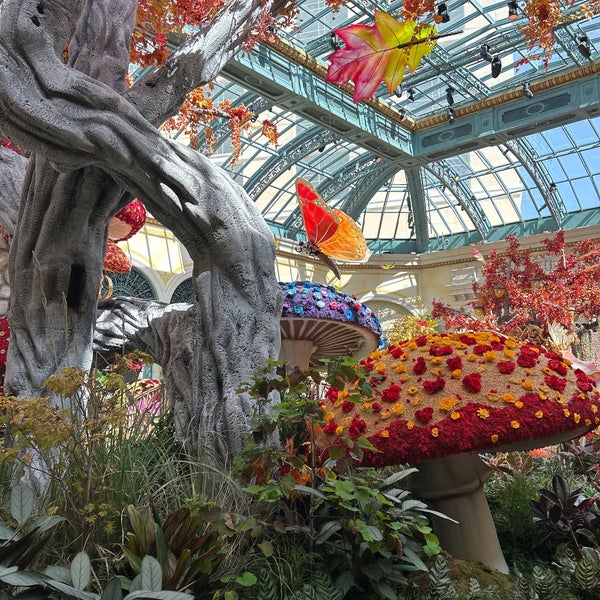 58 Bellagio Conservatory Stock Photos, High-Res Pictures, and Images -  Getty Images