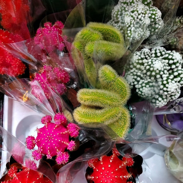 World Of Flowers Greenpoint Brooklyn Ny