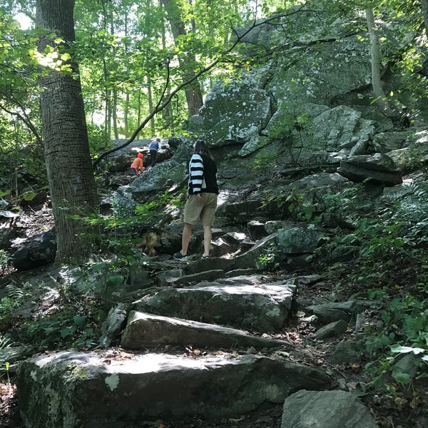 King and Queen Seat Jarrettsville, MD